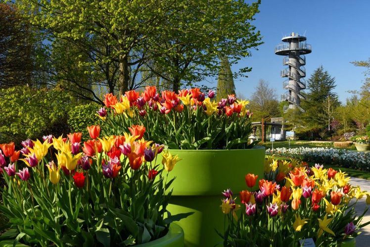 Auf dem Gelände der ersten Niedersächsischen Landesgartenschau 2002 in Bad Zwischenahn befindet sich der 14 Hektar große Park der Gärten - Gartenkulturzentrum Niedersachsen. Bild: Hans Jürgen Zietz.