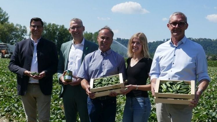 Lokalaugenschein bei Essiggurkerlbauer Alfred Aichinger mit Hofübernehmerin Julia (2. und 3. v.r.): Mag. Robert Pichler, Obmann Wirtschaften am Land, Mag. Thomas Krahofer, Geschäftsführer efko und Mag. Franz Waldenberger, Präsident LK OÖ. Bild: © LK OÖ.