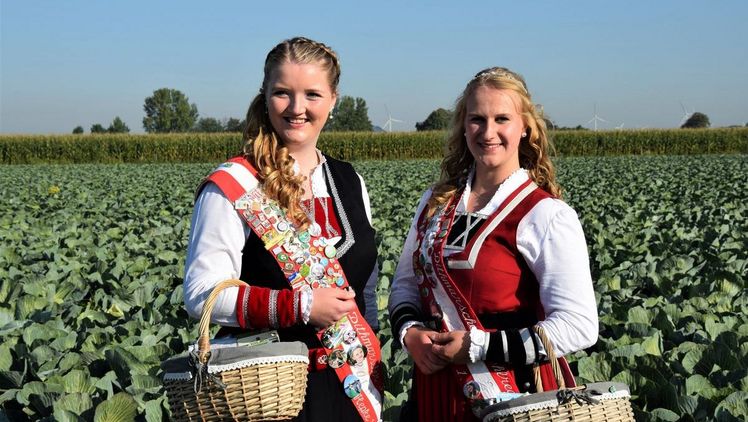 Die Kohlregentinnen (v. l.) Hepke (I.) Nöhrenberg und Fenja (I.) Reimers beim offiziellen Kohlanschnitt auf dem Feld der Familie Piening, Gemeinde Neuenkirchen, im Jahr 2020. Bild: Kreis Dithmarschen.