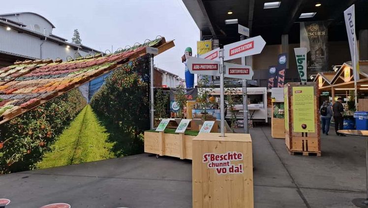 Produkteschau an der Olma. Bild: © Schweizer Obstverband.