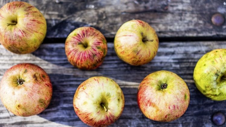 Ab sofort bis teilweise Anfang 2019 verkaufen REWE- und PENNY-Märkte Äpfel, Möhren, Zwiebeln und Kartoffeln mit optischen Makeln. Bild: REWE Group.