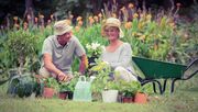 Die Wissenschaft hat bewiesen, dass Gartenarbeit gesund ist. Bild: AIPH. 