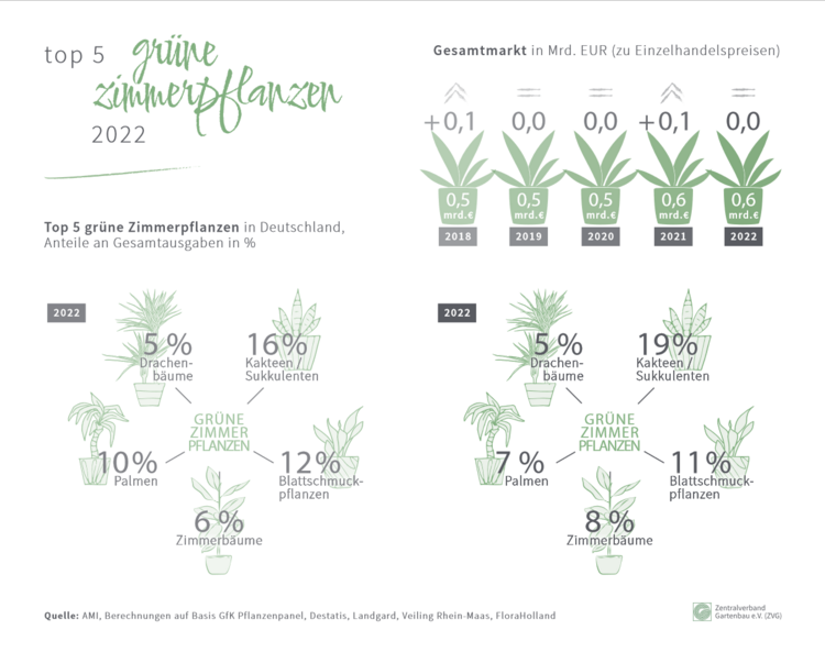 TOP 5 – grüne Zimmerpflanzen 2022. Grafik: ZVG auf Basis AMI. TOP 5 – grüne Zimmerpflanzen 2022. Grafik: ZVG auf Basis AMI.