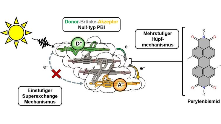 So sieht der synthetisierte Viererstapel aus Farbstoffen aus. Er bedeutet einen weiteren Schritt hin zur künstlichen Photosynthese, weil er Lichtenergie absorbiert und sie im Stapel schnell und effizient weiterleitet. Bild: Leander Ernst, Uni Würzburg.