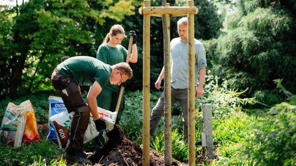 Wie entstehen lebenswerte, klimaangepasste Freiräume – und welche beruflichen Möglichkeiten bietet der Garten-, Landschafts- und Sportplatzbau? Bild: VGL Niedersachsen-Bremen / K. Behrens.