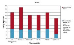 Baumertrag und Anteil der marktfähigen Ware bei verschiedenen Baumqualitäten der Apfelsorte 'Red Elstar' 2010.