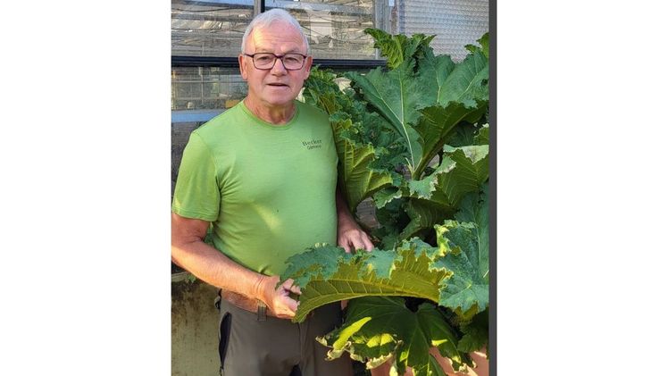 Wolfgang Becker. Bild: DBG.