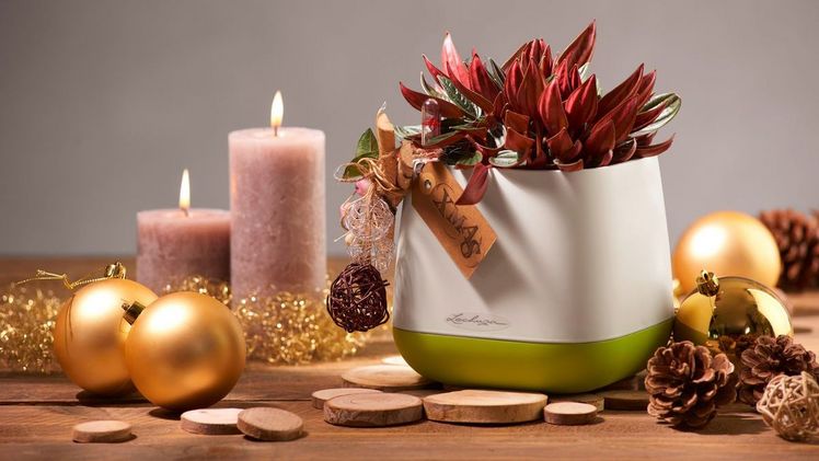 Die neuen YULA-Pflanzgefäße, die individuell bestückt und gestaltet werden können, sind eine dekorative Geschenkidee nicht nur für das Weihnachtsfest. Bild: LECHUZA.