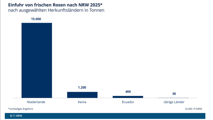 Die Niederlande waren mit fast 15.000 Tonnen das wichtigste Lieferland frischer Rosen. Grafik: IT.NRW.