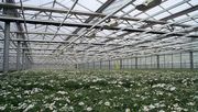 Viele Gartenbaubetriebe werden durch den Wegfall aufwendiger Zertifizierungspflichten spürbar entlastet. Bild: GABOT.
