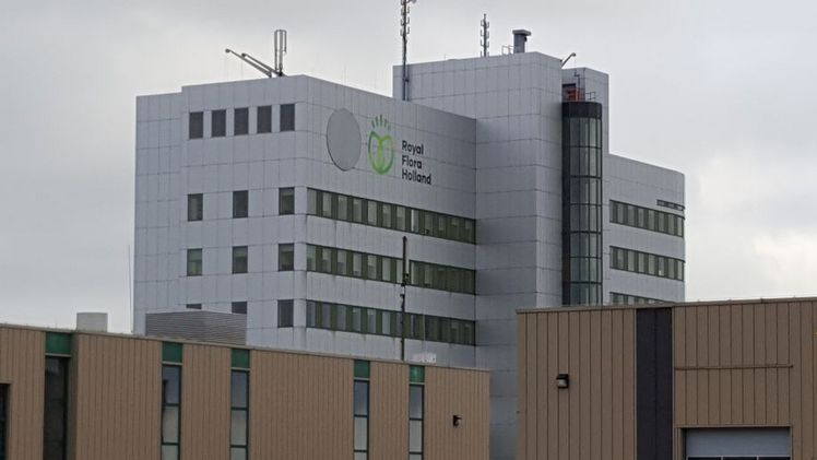 Die Einzelheiten des Notfallfonds für den Gartenbau sind bekannt. Bild: GABOT.