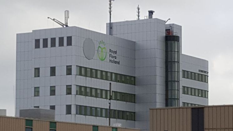 Royal FloraHolland verschärft Schutzmaßnahmen. Bild: GABOT. Royal FloraHolland verschärft Schutzmaßnahmen. Bild: GABOT.