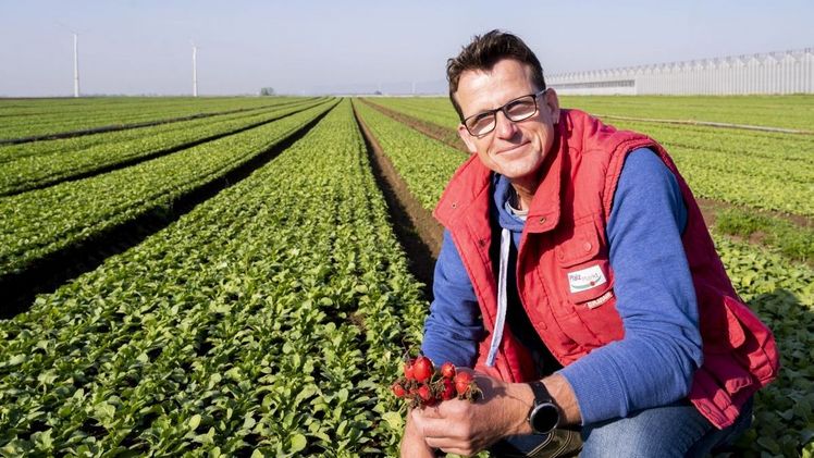 Zum Start in die deutsche Frischgemüse-Saison weckt „Erntefrisch aus der Pfalz“ die Lust auf gesunde Vitamine im Einkaufskorb - auch bei Field-Manager Klaus Selinger. Bild: Pfalzmarkt eG. Zum Start in die deutsche Frischgemüse-Saison weckt „Erntefrisch aus der Pfalz“ die Lust auf gesunde Vitamine im Einkaufskorb - auch bei Field-Manager Klaus Selinger. Bild: Pfalzmarkt eG.