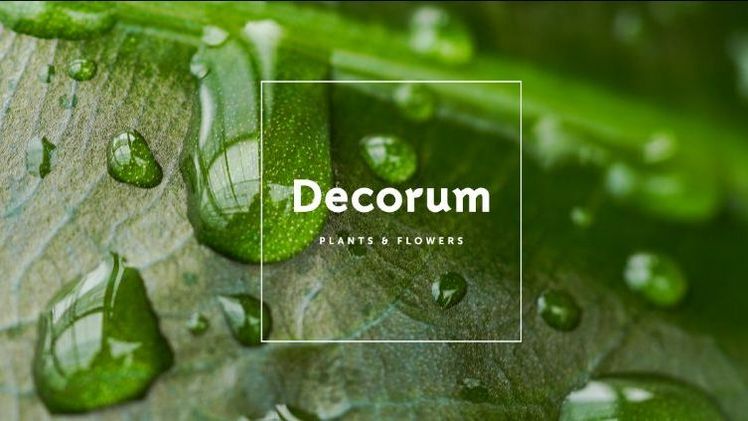 Decorum hat die erneuerte Website und Webshop gestartet. Bild: Decorum.
