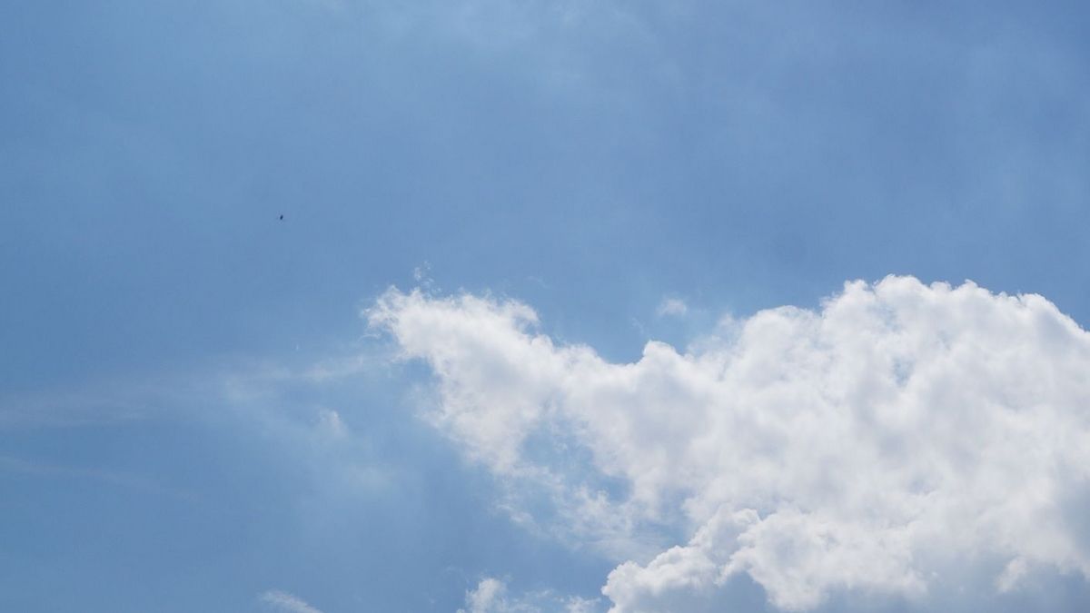 DWD: Deutschlandwetter im August 2024 | Gabot.de