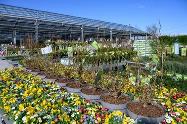 Das neue Dehner Garten-Center in Amstetten (Greinsfurth). Bild: © Jansenberger Fotografie.