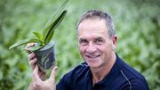 Erwin van Vliet, Manager Cultivation & Assortment Levoplant. Bild: Royal FloraHolland.