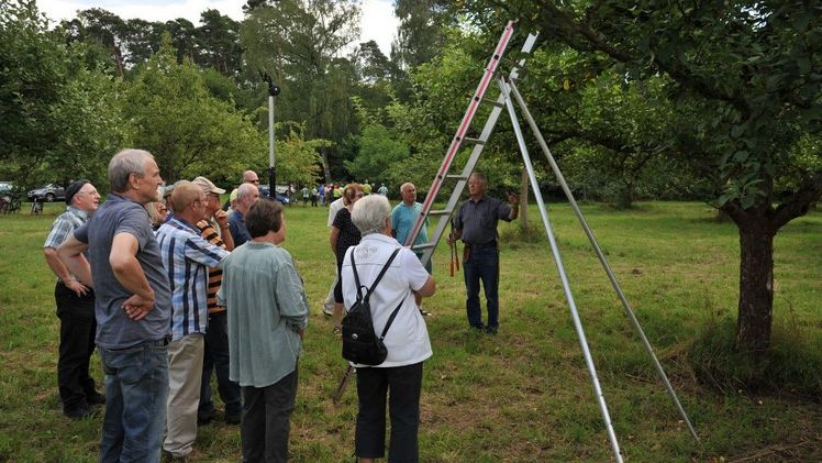Sommerschnittkurs für Obstbäume in Alzenau. Bild: OGV Alzenau.