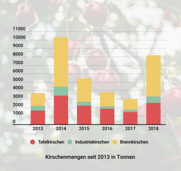 Kirschmenge seit 2013 in Tonnen