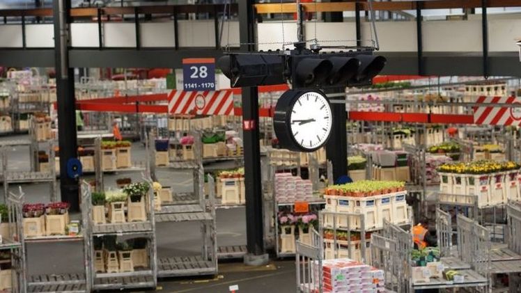 RFH hat erst mit der Versteigerung begonnen, als das System wieder mit voller Kapazität laufen konnte. Bild: RFH. RFH hat erst mit der Versteigerung begonnen, als das System wieder mit voller Kapazität laufen konnte. Bild: RFH.