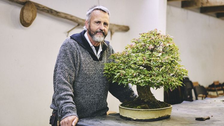 Werner M. Busch im Bonsai Museum Thedorf. Bild: DBG/Busch. 