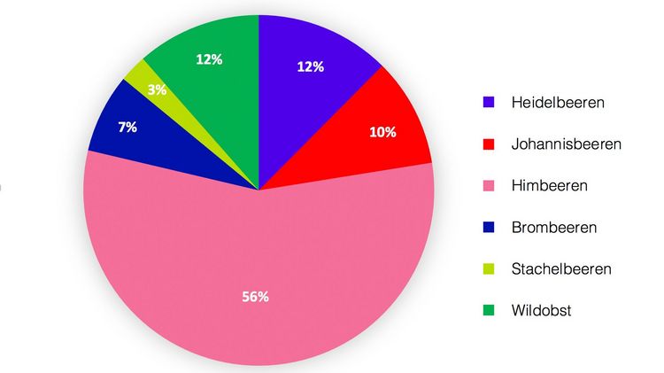 Die Verteilung der verkauften Beerenpflanzen nach Arten. Grafik: Lubera.