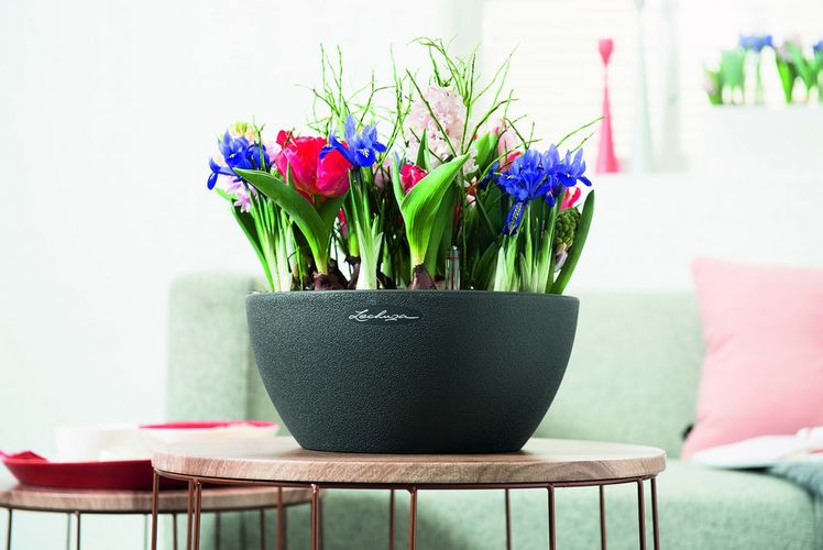 Die Pflanzschale CUBETO setzt frische Akzente und besticht durch ein innovatives Design: die klassische Kontur trifft auf eine natürliche Oberflächenstruktur und das bewährte LECHUZA Erd-Bewässerungssystem, das die Pflanzen nach dem Vorbild der Natur bedarfsgerecht mit Wasser und Nährstoffen versorgt. Bild: LECHUZA.