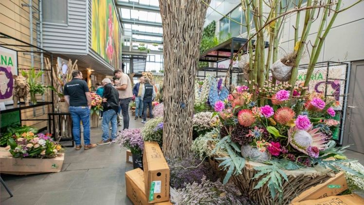 Erfolgreiche African Week bei Veiling Rhein-Maas. Bild: Landgard. Erfolgreiche African Week bei Veiling Rhein-Maas. Bild: Landgard.