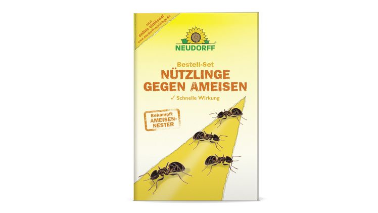 Bestell-Set Nuetzlinge gegen Ameisen. Bild: Neudorff.
