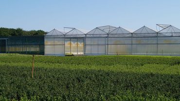 Impressionen von der Boomkwekerij Peers. Bild: GABOT.