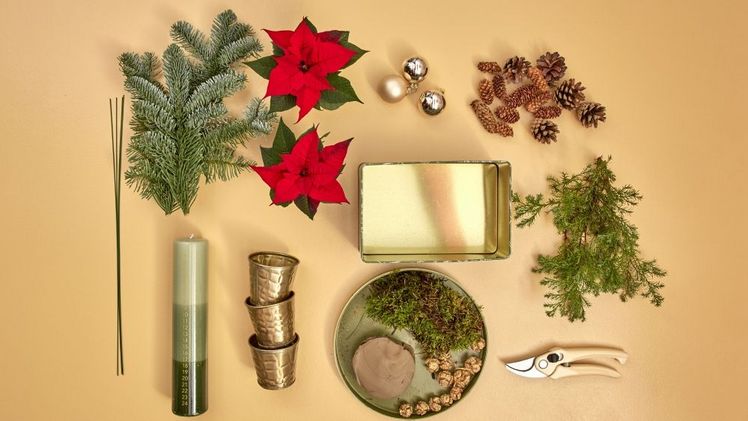 Für die blühende DIY-Adventsdekoration benötigt man eine kleine Metall-(Keks)Dose, zwei Mini-Weihnachtssterne, eine farblich abgestimmte Kalenderkerze, drei kleine Übertöpfe, Ton, Moos, Fichten- und Wacholderzweige, eine Gartenschere, Stahldraht, kleine Zapfen und goldene Christbaumkugeln. Bild: Stars for Europe.