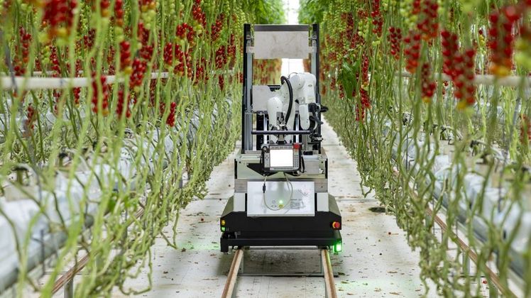 Artemy, der vollautomatische Ernteroboter für Kirschtomaten. Bild: DENSO. Artemy, der vollautomatische Ernteroboter für Kirschtomaten. Bild: DENSO.