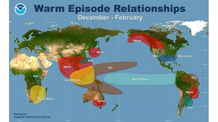 Weltweite Auswirkungen von El Niño auf Niederschlag und Temperatur in den Wintermonaten. Bild: Amerikanischer Wetterdienst NCEP.