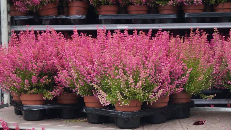 Nach 15 Jahren ohne nennenswerte Erhöhungen müssen nun die Preise steigen. Bild: GABOT.