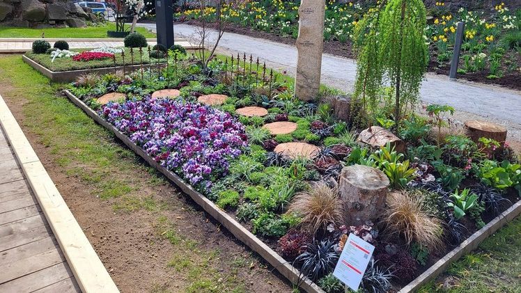 Gartenbau NRW zeigt Pflanzenvielfalt auf der Landesgartenschau. Bild: Gartenbau NRW. Gartenbau NRW zeigt Pflanzenvielfalt auf der Landesgartenschau. Bild: Gartenbau NRW.