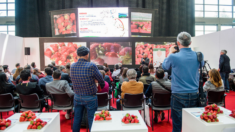 Das Internationale Erdbeer-Symposium kehrt nach 32 Jahren nach Italien zurück. Bild: Macfrut. 