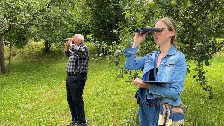 Ernsteschätzung mit Augenmaß. Bild: VdF.