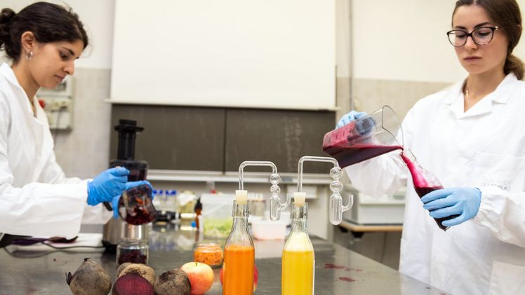 Im Labor erforscht das Team die Mikroorganismen, die von Natur aus in den Grundstoffen fermentierter Produkte vorhanden sind, mit dem Ziel, diese lokalen Mikroorganismen zur Herstellung einzigartiger, hochwertiger Produkte zu nutzen. Bild: © Laimburg Research Centre/ivo corrà.
