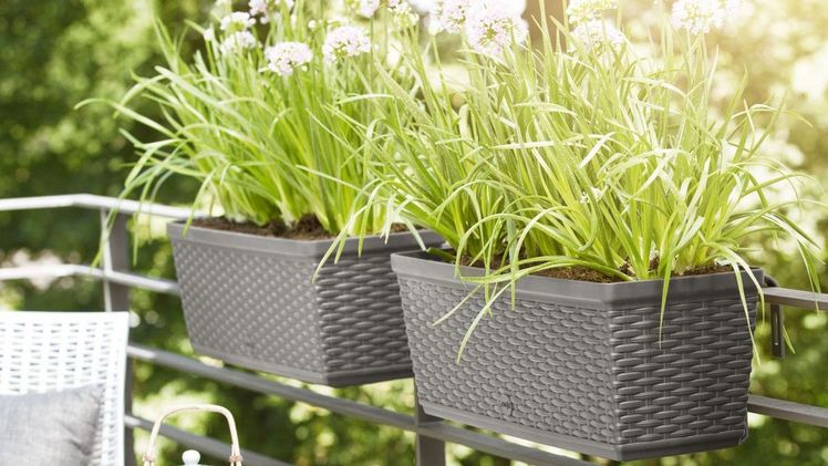 Ausgezeichnet von Stiftung Warentest - Casa Mesh Blumenkästen. Bild: Emsa.