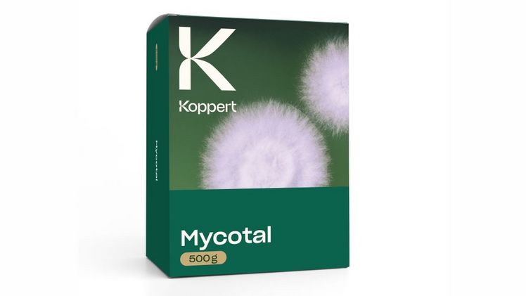 Mycotal – biologisches Pflanzenschutzmittel gegen Weiße Fliege. Bild: Koppert. Mycotal – biologisches Pflanzenschutzmittel gegen Weiße Fliege. Bild: Koppert.