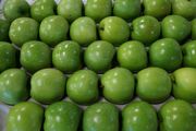 Ohne Nachbesserungen könnte es bei Frischwaren zu Engpässen kommen. Bild: GABOT.