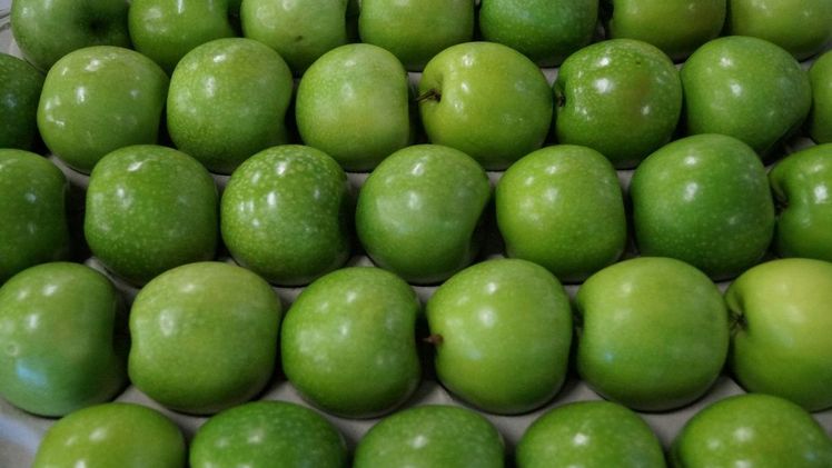 Welche Umweltbilanz ist besser? Bild: GABOT.