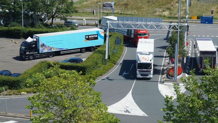 Der niederländische Blumen- und Pflanzenexport ist im ersten Halbjahr 2026 um 2,4% zurückgegangen. Bild: GABOT.