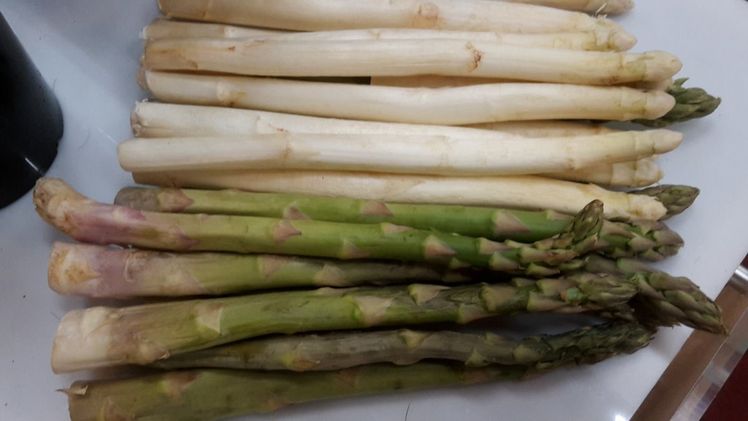 Spargelseminar der Fachgruppe Gemüsebau vom 21. bis 25. Januar 2018 in Grünberg. Bild: GABOT.