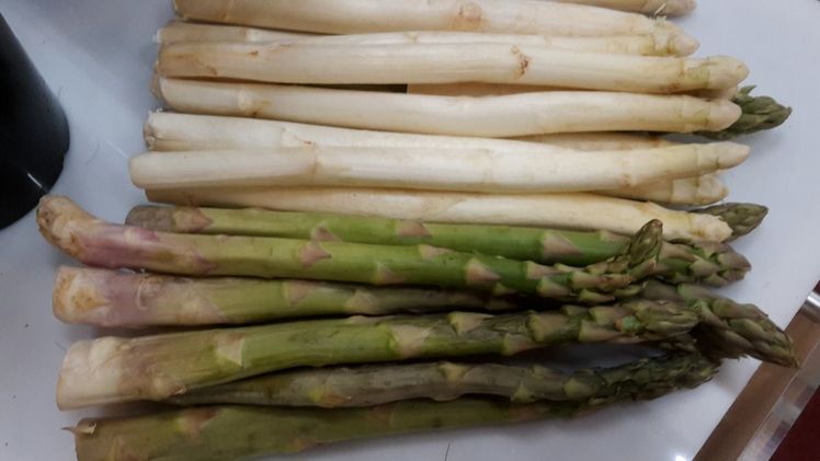 Ein neuer Ernte-Roboter kann grünen Spargel ernten. Bild: GABOT. 