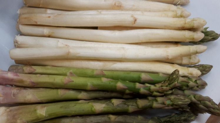 32. Spargeltag am 17. November 2021 in Karlsruhe. Bild: GABOT.