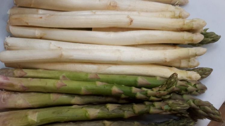 Deutscher Spargel ist in bestechender Form. Bild: GABOT.
