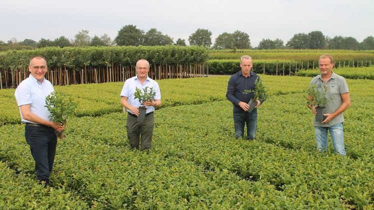 Bruno Rutishauser (v.l.) und Urs Rutishauser vom Familienunternehmen RUTISHAUSER, welche die Baumschule Vergeldt & Bouten Boomkwkers in Holland übernehmen, zusammen mit den beiden bisherigen Inhabern Twan Bouten und Carl Vergeldt. Foto: pd.