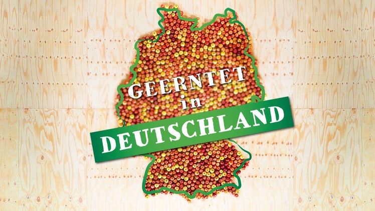 Die Tag des Deutschen Apfels Aktion appelliert an alle Fans, beim Kauf genauer hinzuschauen und zu Produkten aus heimischem Anbau zu greifen. Bild: BVEO.
