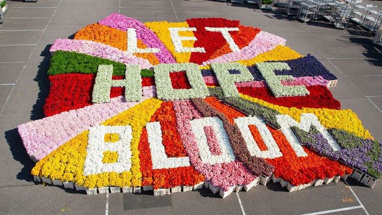 In den nächsten Wochen wird die "Let Hope Bloom"-Kampagne weiter fortgesetzt. Bild: BBH.